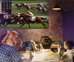 live streaming horse racing